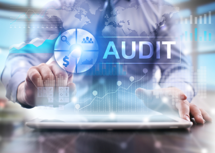 Audit Martinique